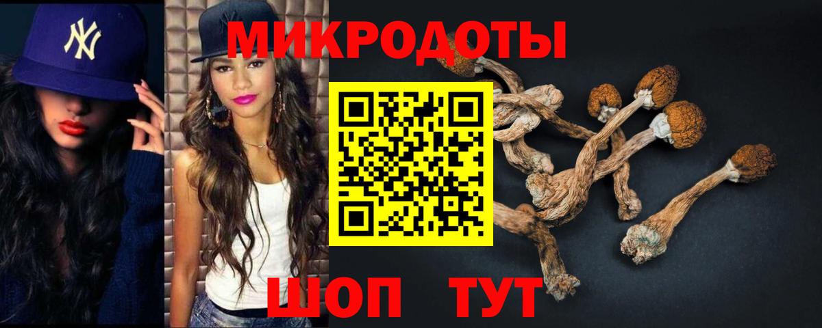 Галлюциногенные грибы Psilocybe  Вход с VPN  магазин    Сокол  Галлюциногенные грибы MAGIC MUSHROOMS 